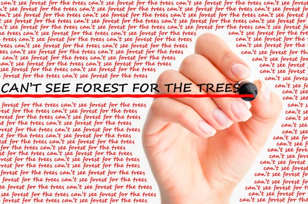 Can\'t see forest for the trees concept