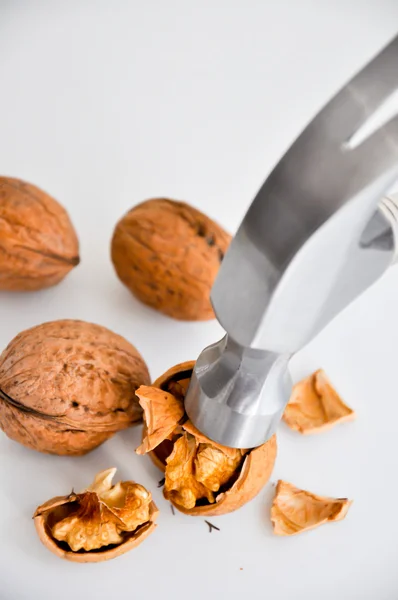 Bolacha de nozes com martelo — Fotografia de Stock