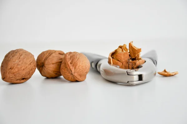 Nuts cracker with walnuts — Stock Photo, Image