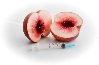 Hibrid meyve kavramı