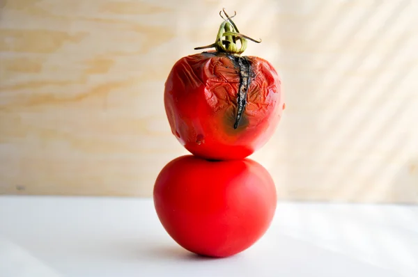 Moldy rotten tomatoes — Stock Photo, Image