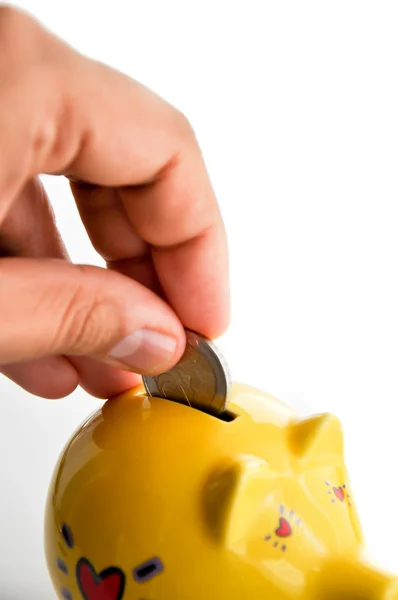 Hand putting coin into piggy bank Stock Photo