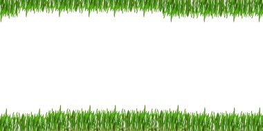 yeşil çimen yaprakları