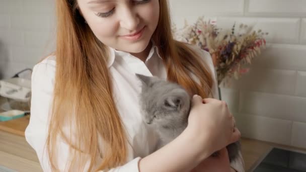 Dívka Hladí Koťátko Britské Kočky Britské Koťátko Zblízka Roztomilé Kotě — Stock video