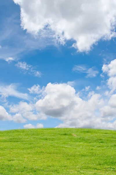 Gräs fält med blå himmel. — Stockfoto