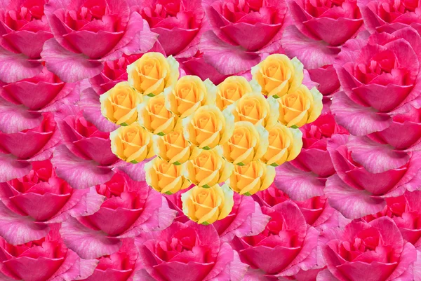 Yellow roses heart background. — Stock Photo, Image