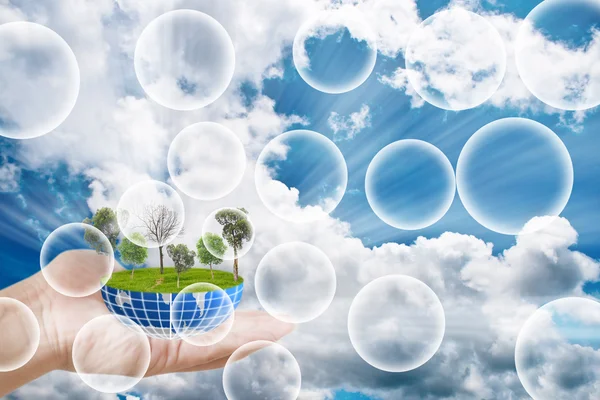 Ağaçlar oksijen Dünya'ya vermek..