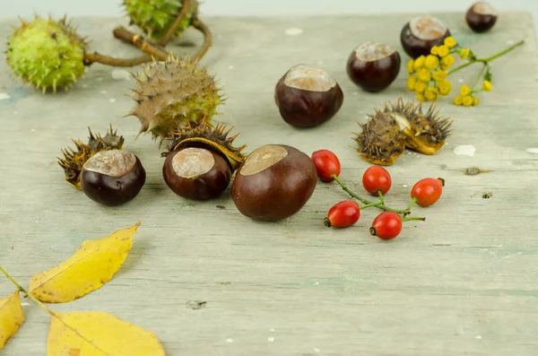 Autumn chestnuts and arrow — Stock Photo, Image