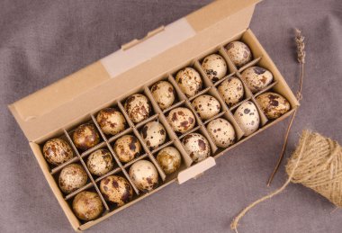 quail eggs clipart