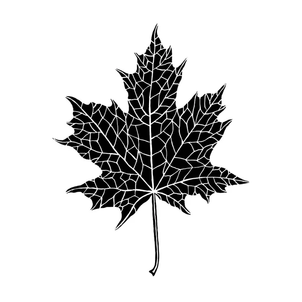 Vector hand-drawn silhouette of a maple leaf — Stock Vector