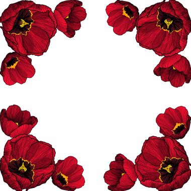 Vektör kare çerçeve ile el çekilmiş laleler