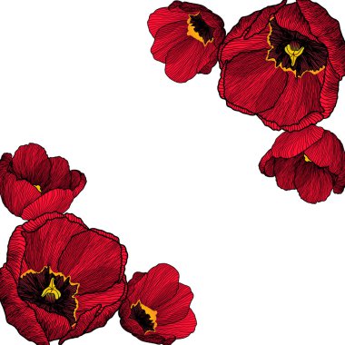 Vektör çerçeve köşeleri ile çizilmiş Lale el