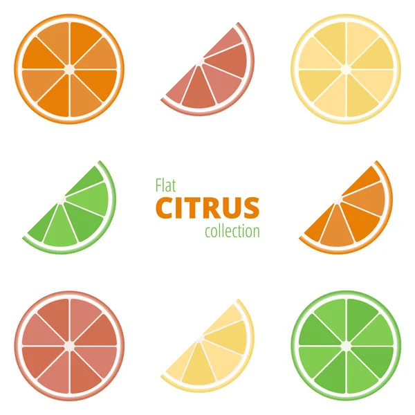 Ícones planos de citrinos — Vetor de Stock
