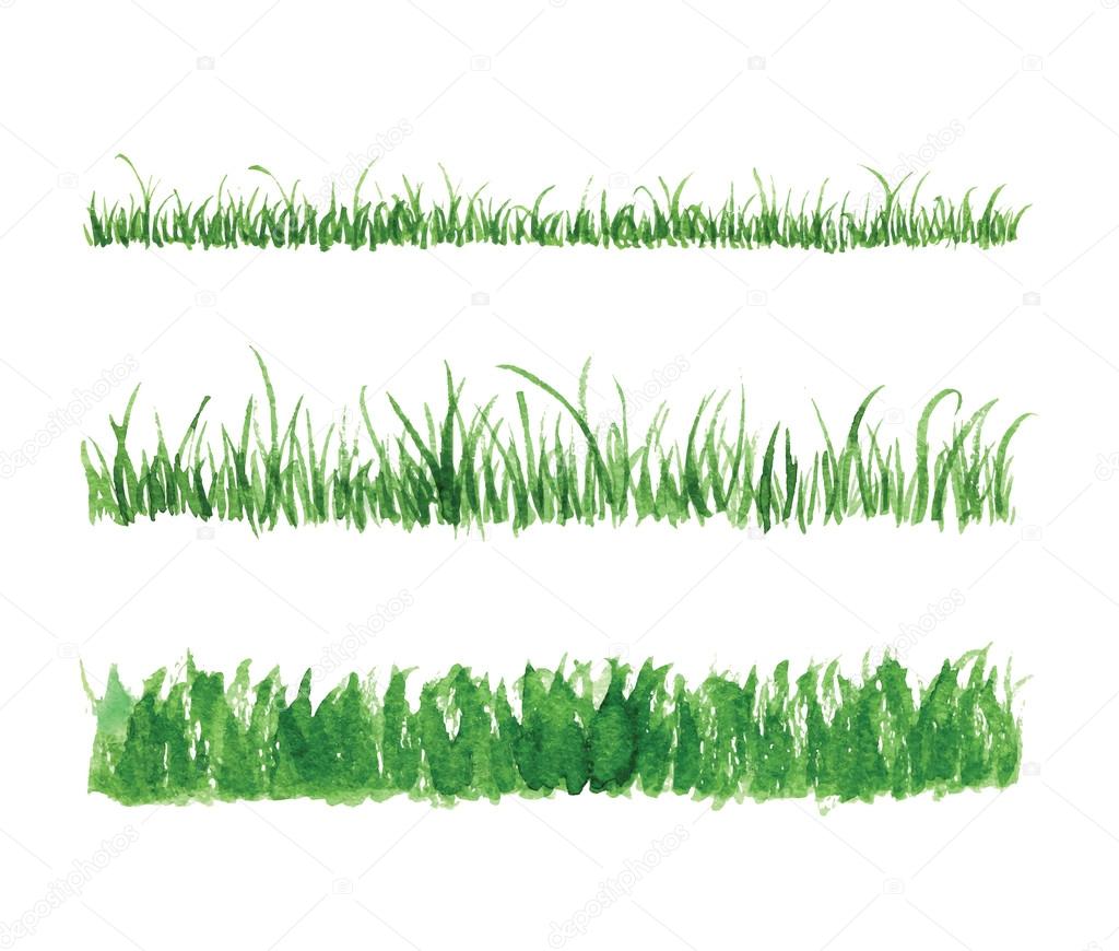 Hand drawn watercolor grass set