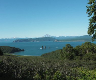 Kamçatka Yarımadası 'ndaki Avacha Körfezi