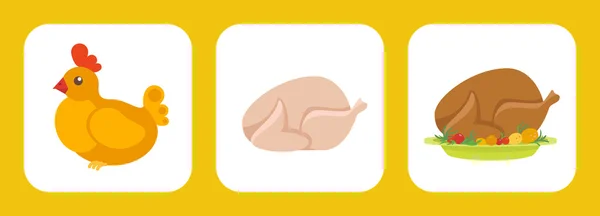 Ensemble plat poulet — Image vectorielle