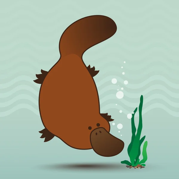 Platypus — Stock Vector