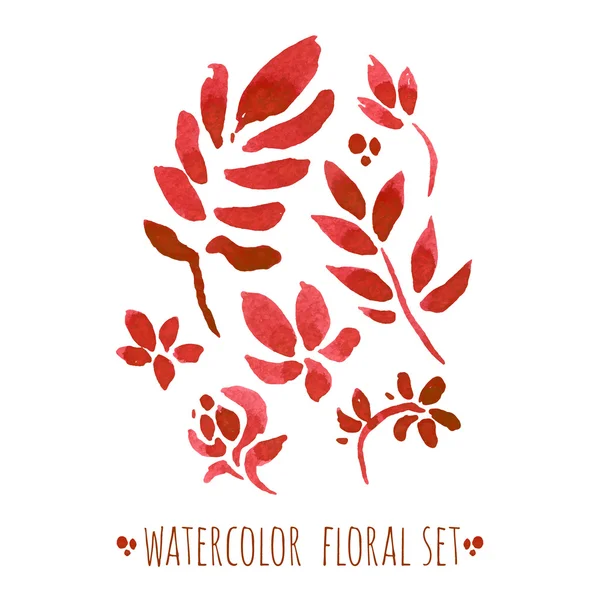 Conjunto floral aquarela — Vetor de Stock