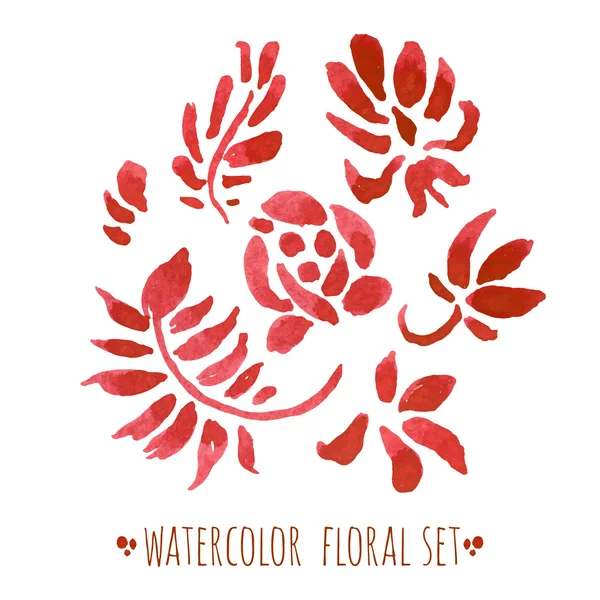 Conjunto floral aquarela — Vetor de Stock