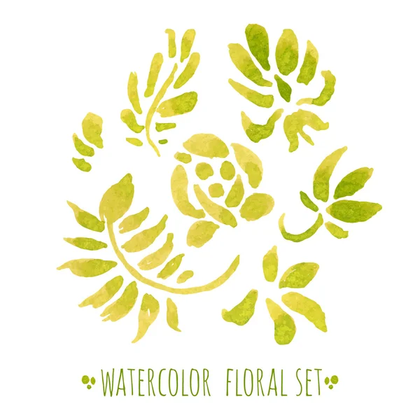 Conjunto floral aquarela — Vetor de Stock