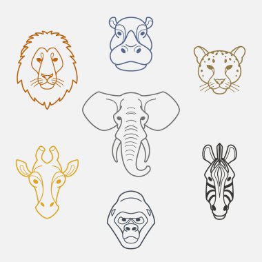 Afrika düz hayvanları