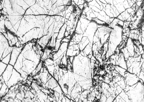 Marble white luxury tile with abstract black pattern of cracks grunge wall texture background.