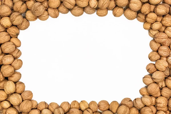 Walnuts Mock Nuts Isolated White Background Walnut Copy Space — Stock Photo, Image
