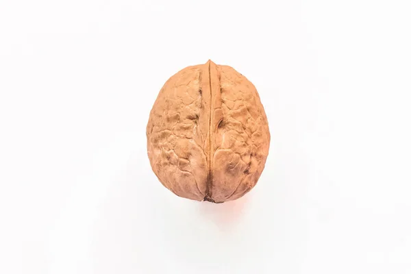 Whole Small Brown Walnut White Background Isolated — Stock Photo, Image