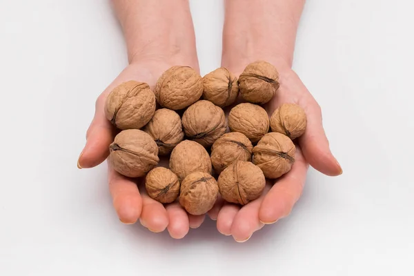 Woman Stretches Out Her Hands Bunch Walnuts White Background Isolated — Stock Photo, Image