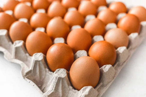 Сирі Курячі Яйця Картонному Лотку Коричневими Яйцями Який Фокус — стокове фото