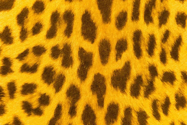 Papel Parede Com Padrão Leopardo Abstrato Sem Costura Animais Selvagens — Fotografia de Stock