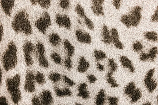 Tapete Helle Flecken Mit Abstrakten Leopardenmuster Nahtlose Papiertextur Wilde Tiere — Stockfoto