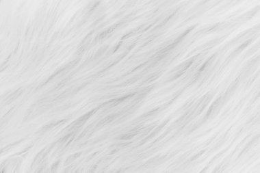 Beyaz yumuşak yün deseni, soyut hafif tüylü kürk arkaplan.