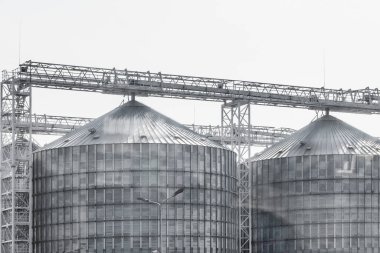 Silo tankı, tarımsal ürünlerin depolanması için kule, buğday üretimi için endüstriyel fabrika.