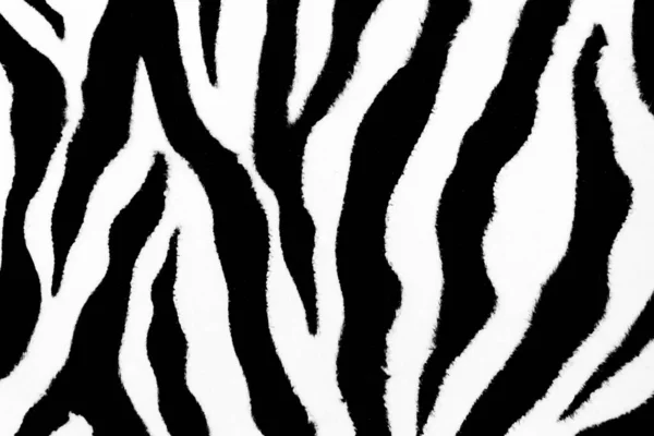 Zebra Djur Hud Abstrakt Päls Mönster Struktur För Design Och — Stockfoto