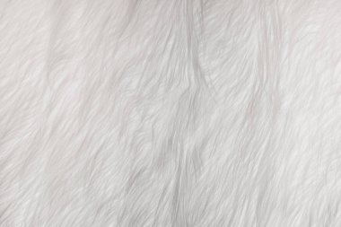 Beyaz yumuşak yün deseni, soyut hafif tüylü kürk arkaplan.