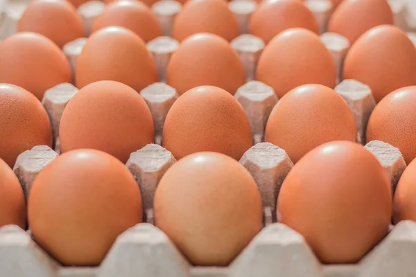 Сирі Курячі Яйця Фоні Картонного Лотка Ферма Коричневих Яєць — стокове фото