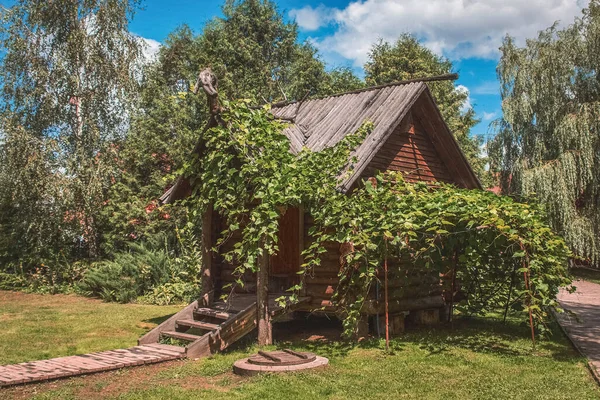 Fassade Eines Kleinen Holzhauses Einem Mit Weinreben Bedeckten Park — Stockfoto