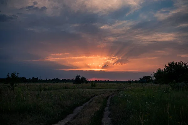 Belo Pôr Sol Noite Campo Com Trigo — Fotografia de Stock