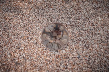 Denizin kumlu masmavi kıyısında cam optik top