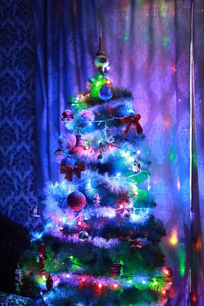 Christmas elegant tree stands under the window — Stock Photo, Image
