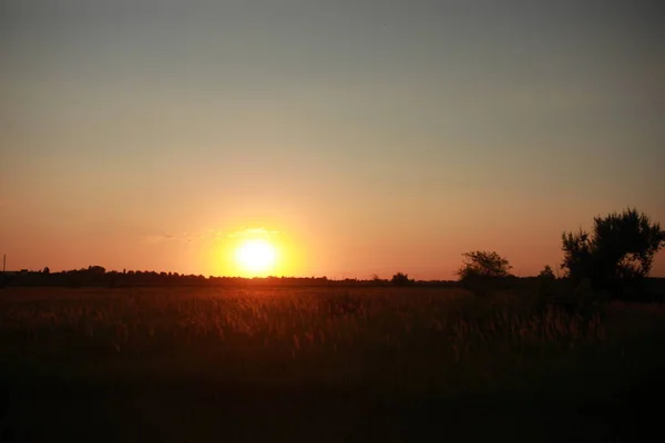 Magnífico atardecer en un enorme campo en el campo —  Fotos de Stock