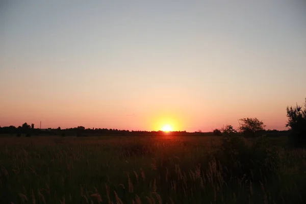 Wspaniały zachód słońca na ogromnym polu na wsi — Zdjęcie stockowe