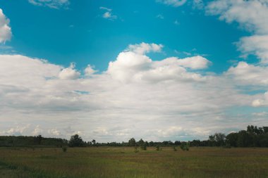 Doğa güzeldir. Özellikle yeşil çimlerle.