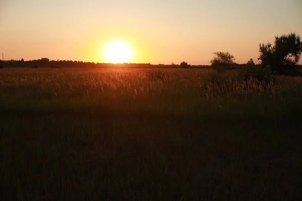 Traumhafter Sonnenuntergang auf einem riesigen Feld in der Landschaft — Stockfoto