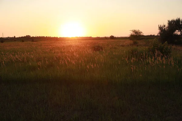 Magnífico atardecer en un enorme campo en el campo —  Fotos de Stock