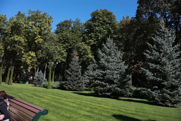 Uma pessoa sentada em um banco em um parque — Fotografia de Stock