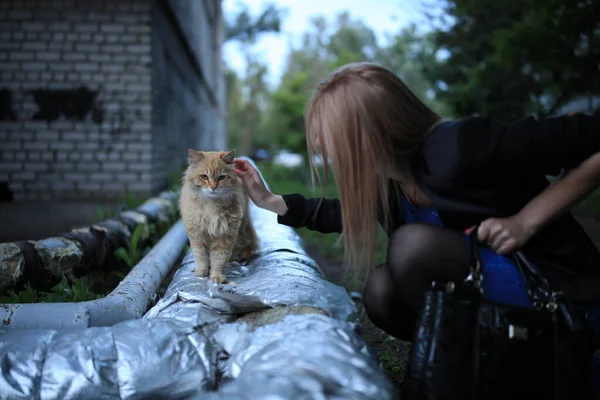 Une personne tenant un très gros chat — Photo