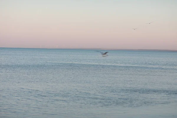 Nahaufnahme des Meeres mit transparentem Wasser am Sandstrand — Stockfoto