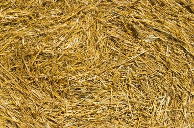 Arka plan saman saplarını